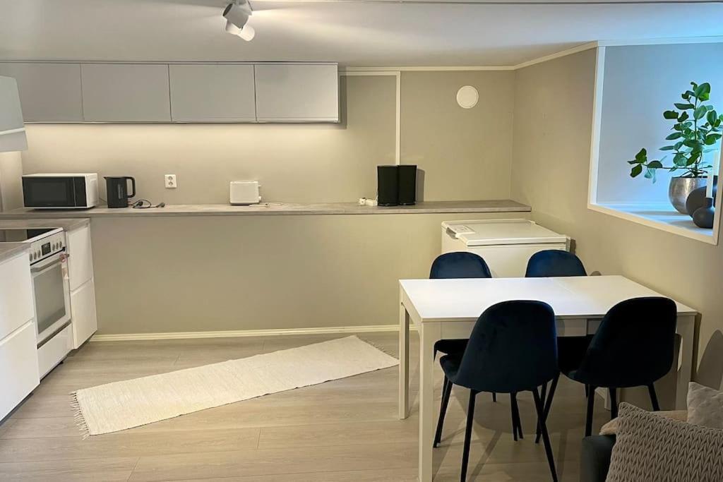 Apartment One Bedroom Basement In The Tromso