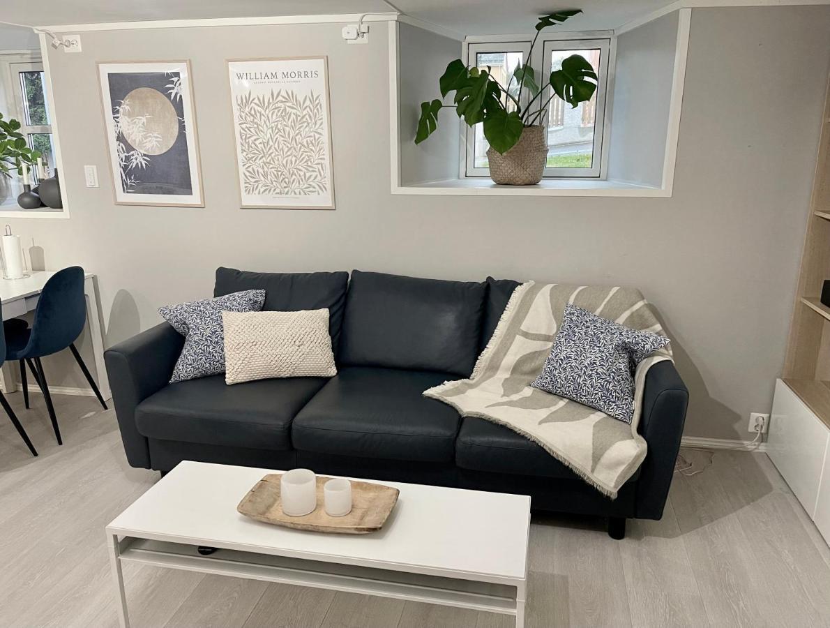 One Bedroom Basement In The Apartment