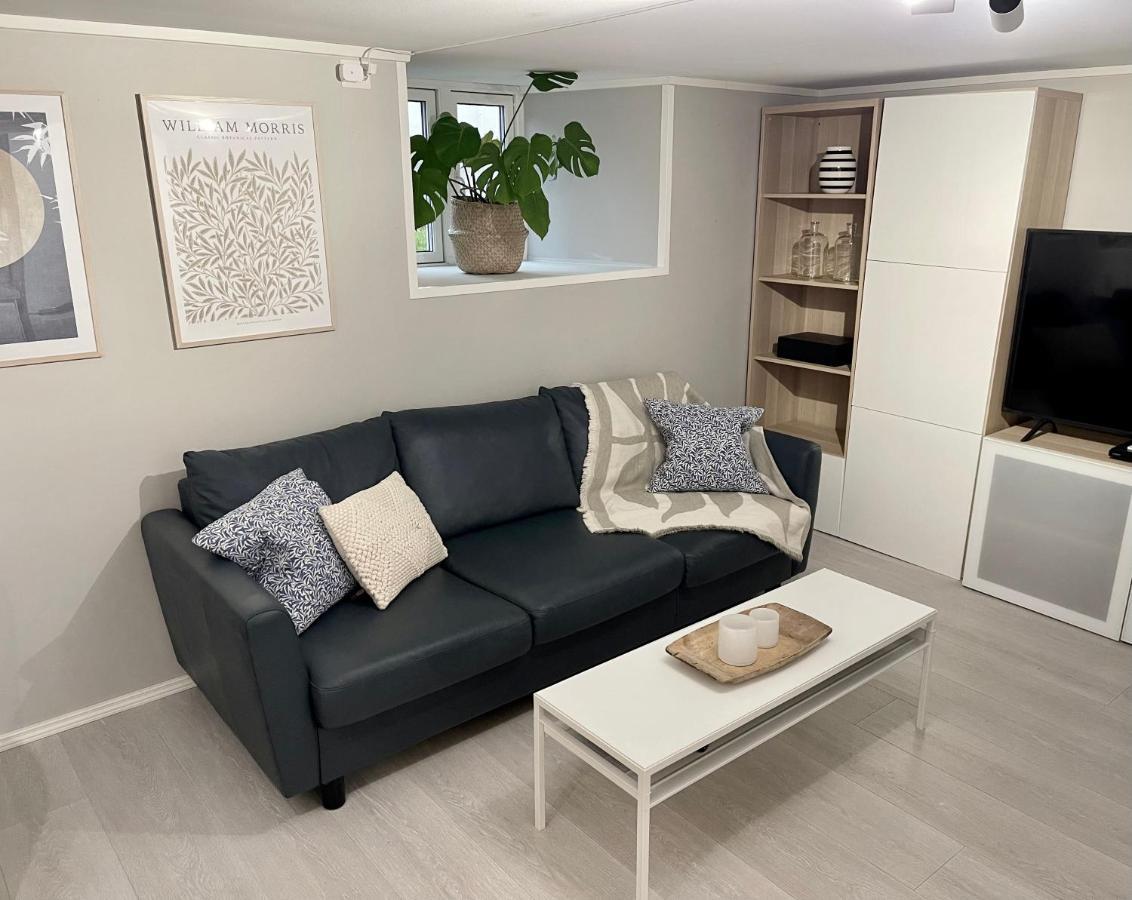 One Bedroom Basement In The Apartment *