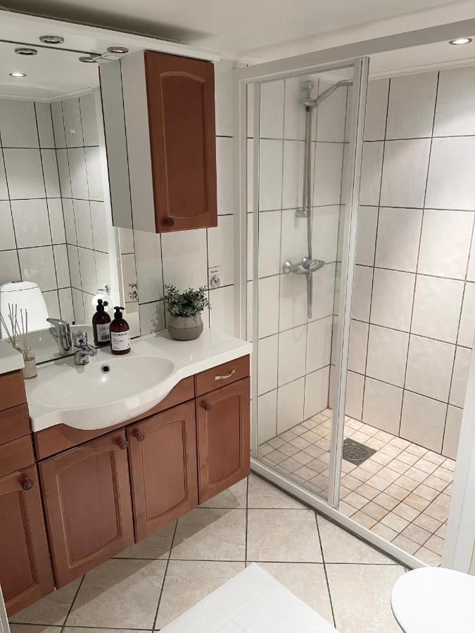One Bedroom Basement In The Apartment